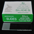 7105 Microscope Slides One Cond Estraged One Side